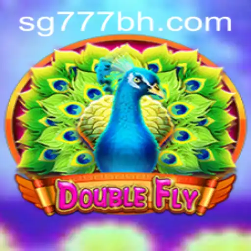 Explore the Exciting World of DoubleFly
